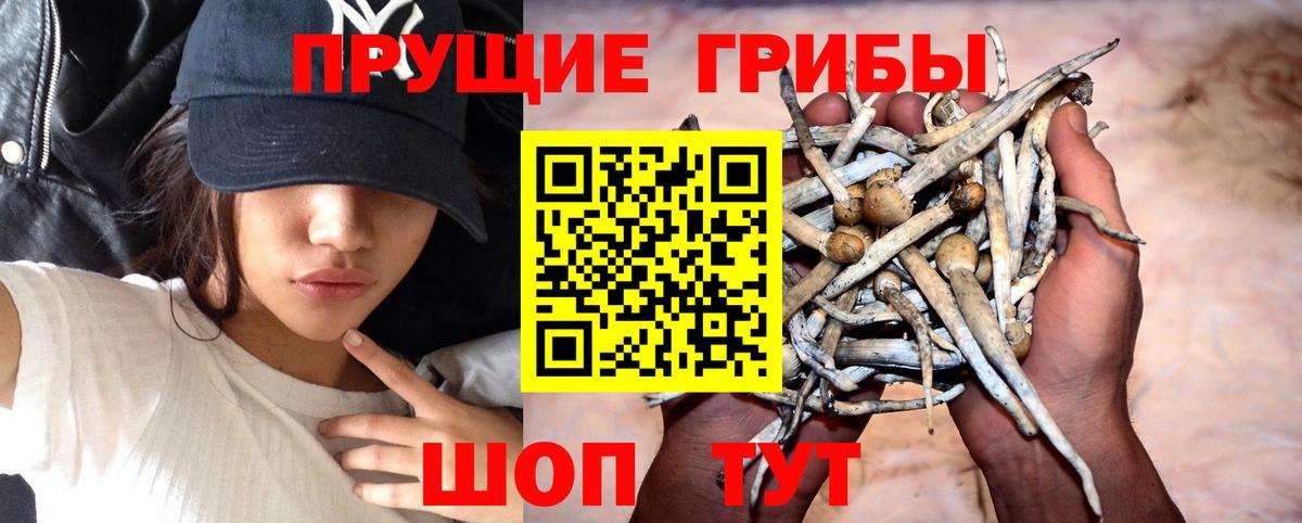 Галлюциногенные грибы мицелий  Вход с VPN  Александров 