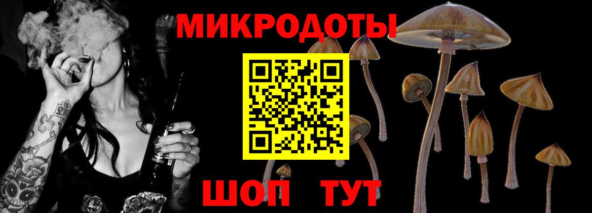 Галлюциногенные грибы Magic Shrooms Александров