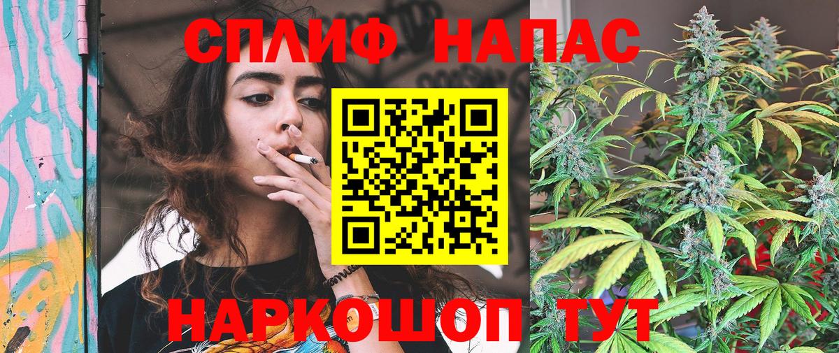 Александров  Конопля план  Шишки марихуана семена  Вход с VPN  Шишки марихуана White Widow  Шишки марихуана ГИДРОПОН 